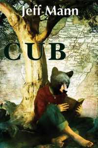 4 Cub