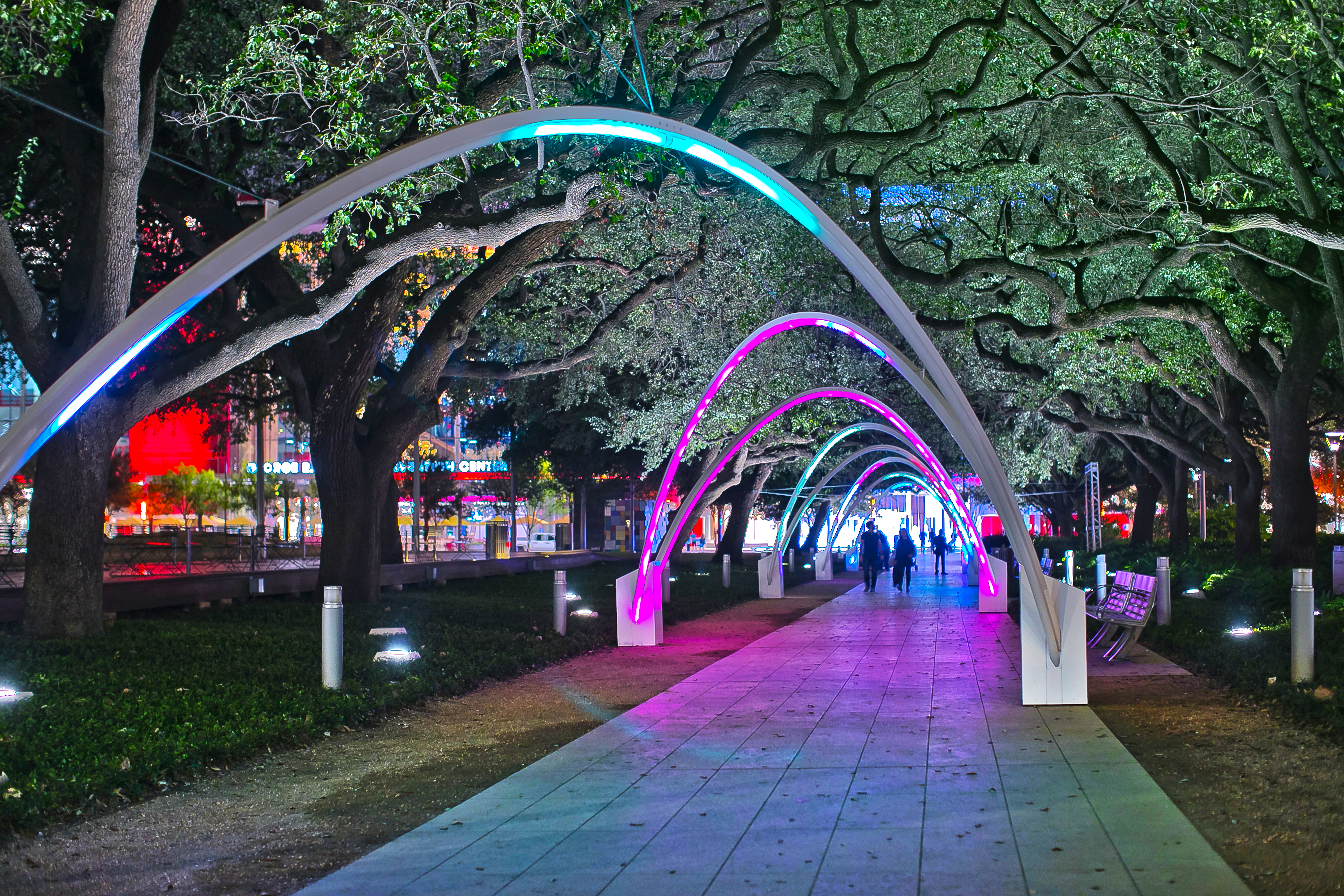 Discovery Green Presents Harmony Of Trees Inspired By Hello