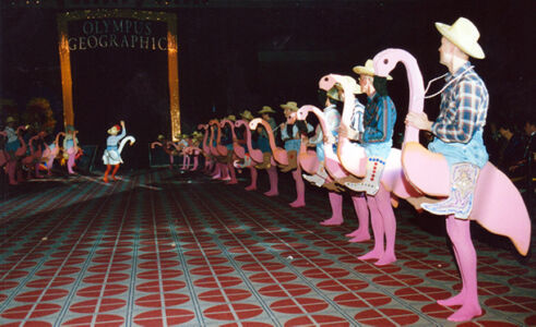 Cowboys riding flamingos in 2002